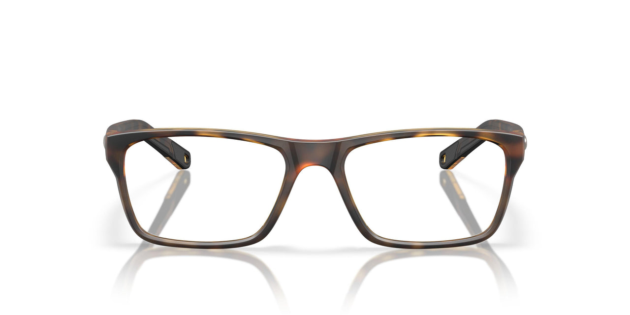 801504 - Tortoise