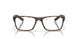 801504 - Tortoise
