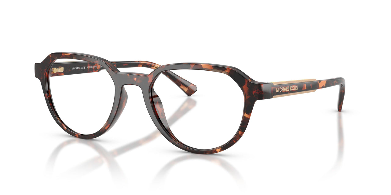 300613 - Tortoise - Smoke Gradient