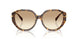 401613 - Brown - Brown Gradient