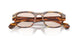004 - Brown