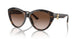 500213 - Tortoise - Gradient Brown