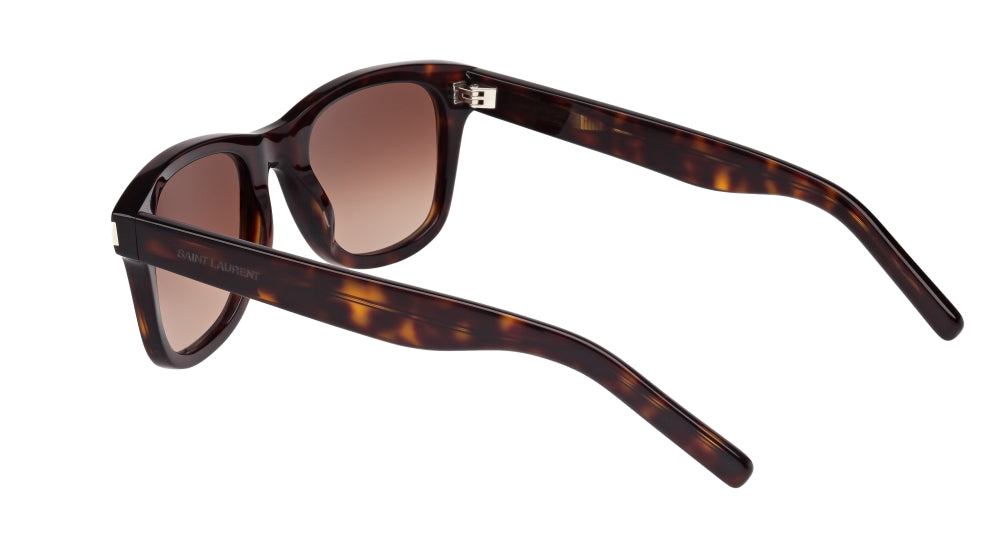 004 - Havana - Brown
