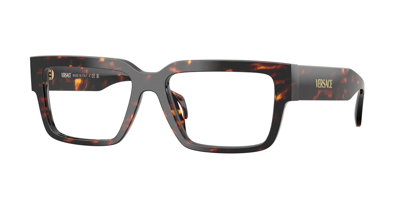 5509 - Tortoise