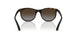 7182T5 - Tortoise - Light Grey Brown