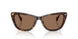 500373 - Tortoise - Brown