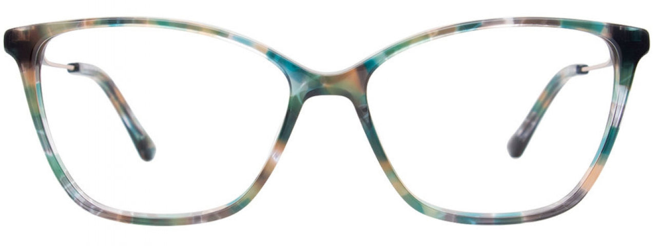 60 - Teal Tortoise