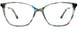 60 - Teal Tortoise