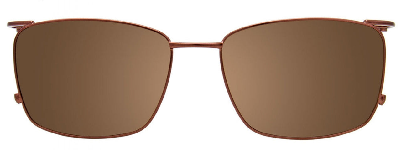 10 - Brushed Satin Brown & Steel/ Steel & Tortoise