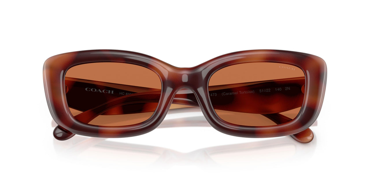 577473 - Tortoise - Brown Solid