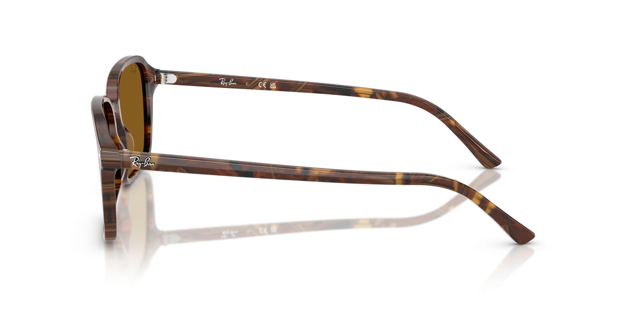 141833 - Multicolor - B-15 Brown