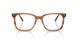 8455 - Tortoise - Clear