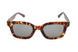 Adidas AOR023CL1656 Sunglasses