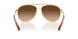400474 - Gold - Gradient Brown