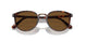 24/57 - Havana - Brown Polar
