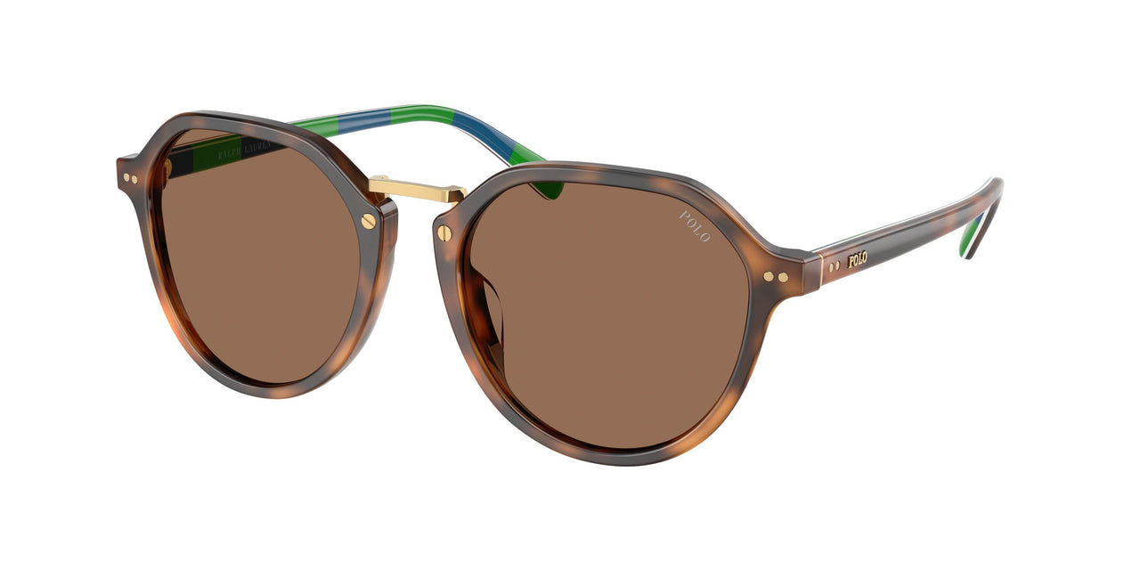 Polo 4223U Sunglasses