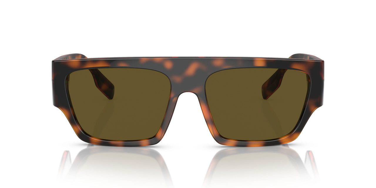 300273 - Brown - Dark Brown