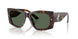 500271 - Tortoise - Dark Green