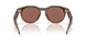 800206 - Brown - Prizm Deep Water Polarized