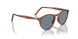 900656 - Brown - Light Blue
