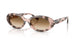144951 - Pink - Clear Gradient Brown