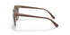 294013 - Light Brown - Brown Gradient