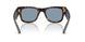 902/56 - Tortoise - Blue