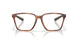 803102 - Tortoise