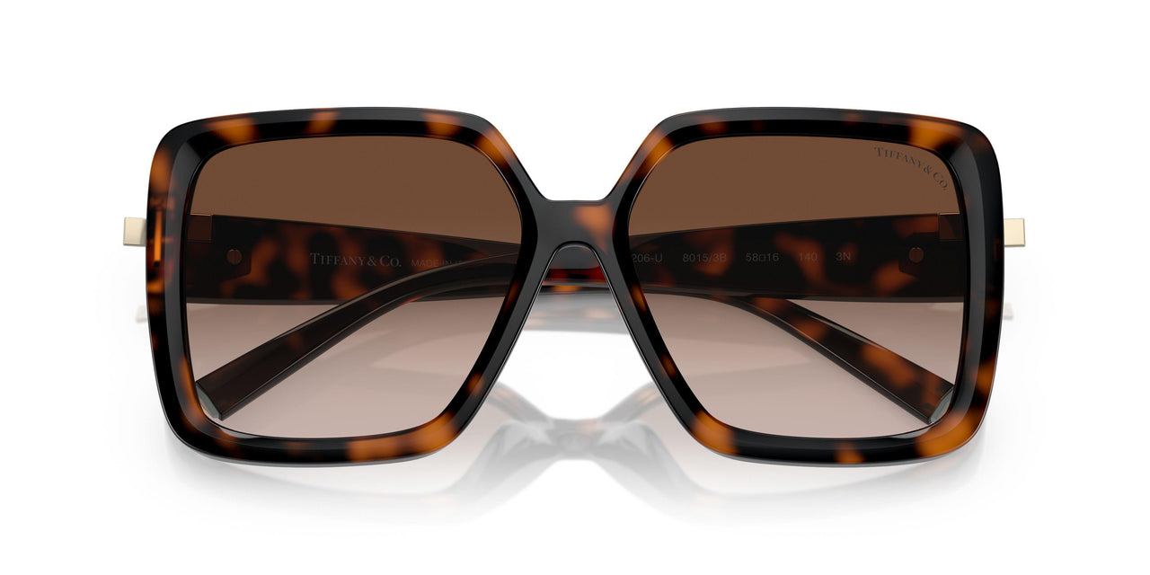 80153B - Tortoise - Brown Gradient
