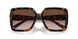 80153B - Tortoise - Brown Gradient