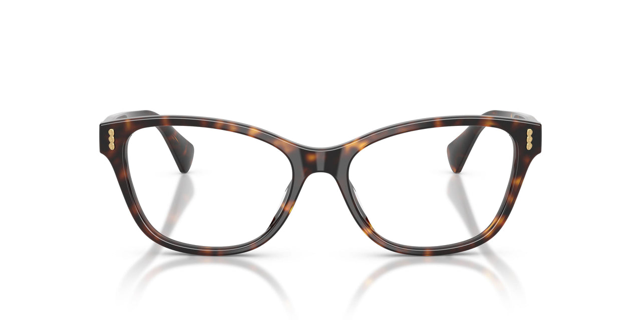 5003 - Brown