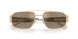 10145A - Gold - Brown/silver Mirror