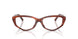 8440 - Tortoise