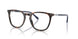 5003 - Tortoise