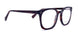 TT - Tortoise