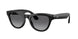 Ray-Ban Meta Skyler 4014 Sunglasses