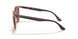 66025Q - Brown - Purple Polar