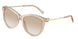844511 - Brown - Neutral Gradient Light Grey