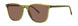 Paradigm Arden Sun Sunglasses