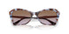 320168 - Blue - Violet Gradient Brown