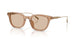 303793 - Brown - Solid Light Brown