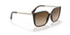 W65613 - Havana - Brown Gradient