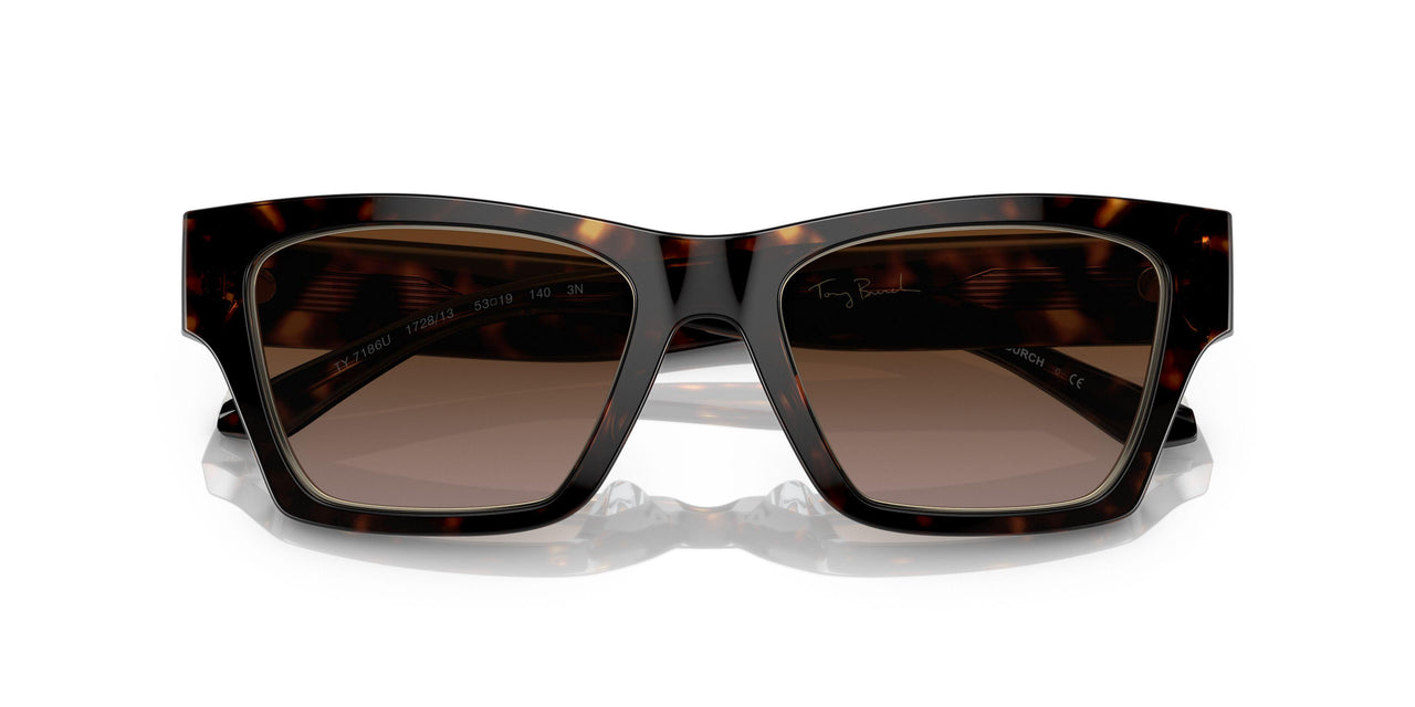 172813 - Havana - Brown Gradient