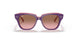 711814 - Violet - Pink Gradient Brown