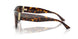 500213 - Tortoise - Brown Gradient