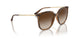 238613 - Brown - Gradient Brown