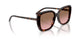 W65614 - Brown - Pink Gradient Brown