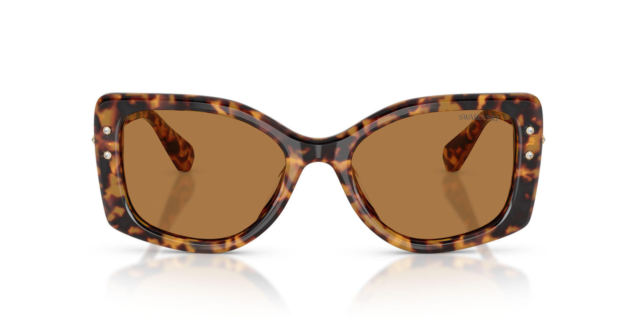 104073 - Tortoise - Bronze