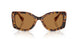 104073 - Tortoise - Bronze