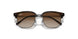 152/13 - Tortoise - Brown